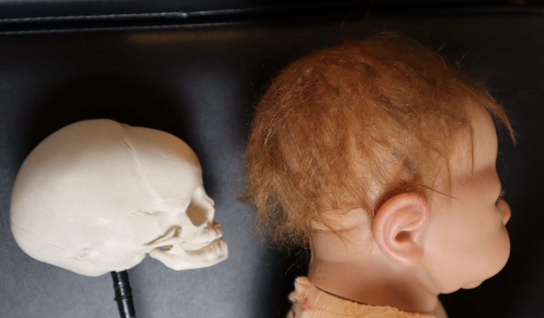 A baby looking at a skull on the wall